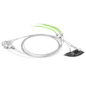 ArborGuy Over Head Guying